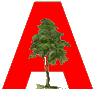 Advantage Forestry Logo